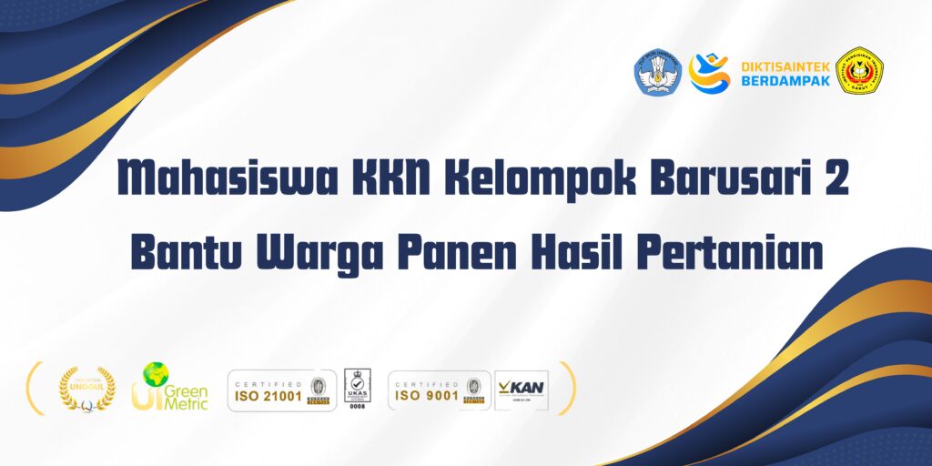 Mahasiswa KKN Kelompok Barusari 2 Bantu Warga Panen Hasil Pertanian